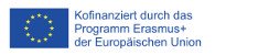 erasmus en