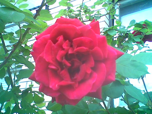 Slika00211.jpg